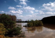 2000